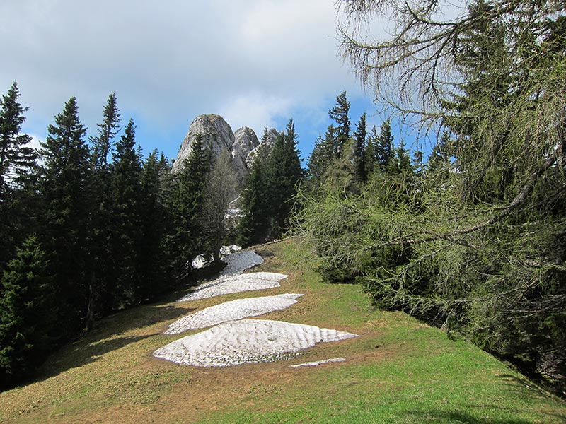 Rauschkogel